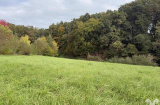 Gewerbeimmobilie kaufen in 8313 Breitenfeld an der Rittschein, Wiese mit Wäldchen