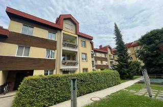 Wohnung mieten in 4222 Gusen, XL-2-Raum Wohnung inkl. Balkon mit überdurchschnittlichem Raumbedarf! Genießen Sie trotz naturnaher und ruhiger Lage eine perfekte Infrastruktur!