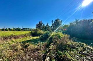 Haus kaufen in 2273 Hohenau an der March, Landhaus mit viel Platz auf rund 995 m² Grund!