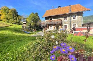 Bauernhäuser zu kaufen in Brochendorf (Dornbach), 9853 Malta, Bauernhaus mit landwirtschaftlicher Fläche in idyllischer Aussichtslage - Scheune und viel Grundstück!
