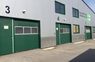 Gewerbeimmobilie mieten in 2345 Brunn am Gebirge, KFZ Halle komplett ausgestattet ca. 300m² nähe Mödling mit Betriebsanlangengemehmigung
