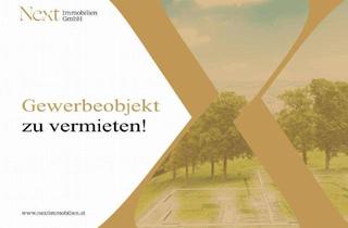 Büro zu mieten in 4600 Wels, Lagerhalle samt Büros in verkehrstechnisch optimaler Lage in Wels zu vermieten! Gleisanschluss vorhanden!