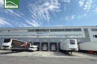 Büro zu mieten in Industriestraße, 2326 Maria-Lanzendorf, Hochwertige Gewerbefläche mit 15 Parkplätzen in 2326 Maria Lanzendorf – Industriestraße: ab sofort verfügbar!
