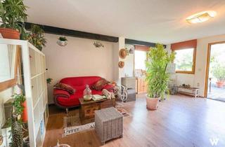 Haus kaufen in 3426 Muckendorf an der Donau, Sommerhaus in erster Reihe - direkt am Ufer der Donau