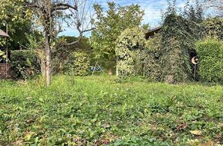 Grundstück zu kaufen in 7061 Trausdorf an der Wulka, 7061 Trausdorf - schönes 400m² Grundstück in ruhiger Ortsrandlage ,wäre auch ideal für ein stylisches Tinyhouse geeignet !