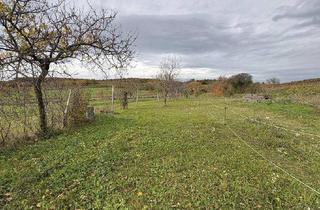 Immobilie kaufen in 7091 Breitenbrunn am Neusiedler See, Grundstück