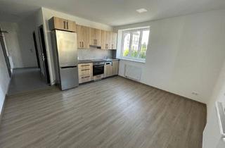 Wohnung mieten in 3580 Horn, TOP 2 Zimmer Wohnung nähe Krankenhaus