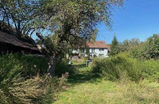 Villen zu kaufen in 2125 Bogenneusiedl, NÄHE HOCHLEITHEN/MISTELBACH: Großes Wohnhaus mit großzügigem Garten und freier Baufläche für Individualisten/Bauträger