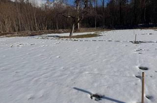 Grundstück zu kaufen in Grünsbach 122, 6232 Münster, Sonniges und ruhiges Traum Grundstück am Waldrand in Münster - keine Maklerprovision