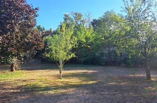 Grundstück zu kaufen in 2230 Gänserndorf, Traumhaftes Baugrundstück in Gänserndorf Süd - Perfekt für Ihr Eigenheim! € 219.000,- für 600m² in Niederösterreich.