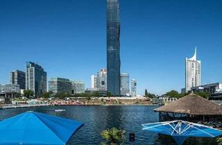 Büro zu mieten in 1220 Wien, DC-TowerArbeiten mit dem besten Blick über Wien