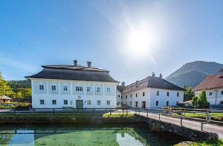 Wohnung mieten in 4644 Scharnstein, Top 2.1 - Fertiggestellt: Wohnen in stilvollem Ambiente