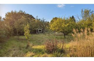 Grundstück zu kaufen in 2721 Bad Fischau, Wunderschönes Grundstück in bester Lage – vielseitig bebaubar mit zwei Wohneinheiten