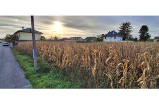 Grundstück zu kaufen in Rosenweg, 2201 Gerasdorf, Ihr Baugrund in ruhiger, sonniger Lage – Oberlisse bei Wien – provisionsfrei vom Eigentümer