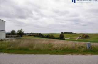 Grundstück zu kaufen in 2111 Tresdorf, Traumhaftes Baugrundstück in 2111 Tresdorf – Ihr Eigenheim wartet auf Sie!