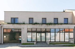Anlageobjekt in 2472 Prellenkirchen, Wohnen, Arbeiten, Vermieten oder Entwickeln - vielseitiges Anwesen mit Wohn- und Geschäftshaus, Nebengebäuden & Garten