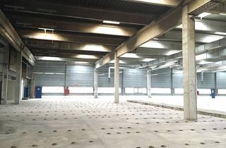 Lager mieten in Traiskirchen (Ort), 2514 Traiskirchen, Gewerbepark Traiskirchen - flexible Flächengestaltung | anmietbar ab ca. 600 m²