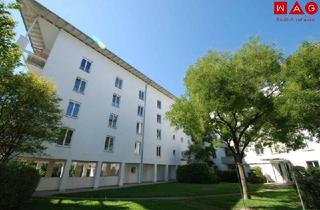 Wohnung mieten in Bachmannweg, 4030 Linz, Gemütliche 3-Raum-Wohnung in grüner Ruhelage sorgt für puren Wohngenuss! - gratis Parkplatz im freien und ausgewählte Nachbarschaft inklusive!