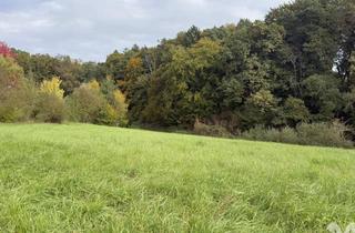 Grundstück zu kaufen in 8313 Breitenfeld an der Rittschein, Wiese mit Wäldchen