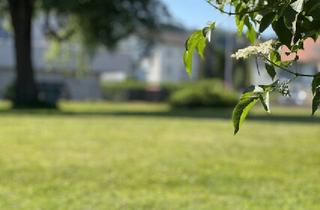 Grundstück zu kaufen in 6890 Lustenau, Herrliches Baugrundstück - teilbar!