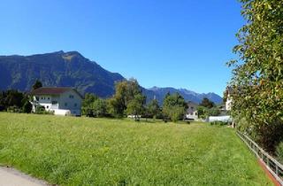Grundstück zu kaufen in 6713 Ludesch, Ludesch …ein oder zwei Baugrundstücke, sehr schöne Lage – flexibel mit 436 m² / 443 m² oder 879 m²