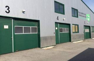 Gewerbeimmobilie mieten in 2345 Brunn am Gebirge, KFZ Halle komplett ausgestattet ca. 300m² nähe Mödling mit Betriebsanlangengemehmigung