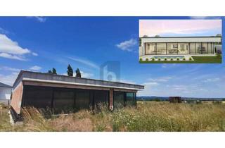 Haus kaufen in 7064 Oslip, PANNONISCHE EXKLUSIVITÄT IN GLAS - MIT POOL UND POOLHAUS