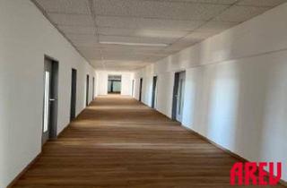 Büro zu mieten in Kornstraße, 4060 Leonding, STARTEN SIE JETZT DURCH - DIE PERFEKTE BÜROFLÄCHE FÜR NEUE IDEEN - B16
