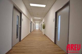 Büro zu mieten in Kornstraße, 4060 Leonding, DEINE NEUE BÜROFLÄCHE IN LEONDING - MODERN - PROFESSIONELL - BEGEHRT - B01