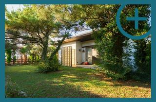 Haus kaufen in Friedhofgasse, 3451 Michelhausen, MAGISCHER RÜCKZUGSORT: Charmanter Bungalow in Ruhelage