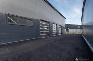 Büro zu mieten in 2522 Oberwaltersdorf, Lagerhalle 263 m² und kleine Bürofläche 54 m²