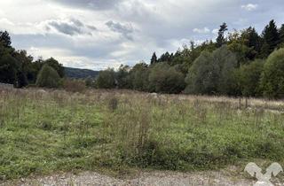 Grundstück zu kaufen in 8200 Gleisdorf, Baugründe in idyllischer Lage Gleisdorf Rand
