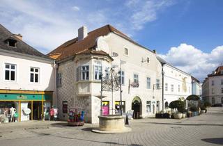 Geschäftslokal mieten in 2620 Neunkirchen, Großraum Geschäft in der Hauptplatzpassage Neunkirchen zu mieten!