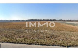 Grundstück zu kaufen in Schafflerhofstrasse, 1220 Wien, Investieren Sie in die Zukunft; Bauhoffnungsland mit Entwicklungspotenzial