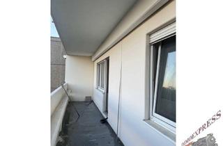 Wohnung mieten in Kapellenstraße, 2514 Traiskirchen, Ruhelage in Traiskirchen 2-Zimmerwohnung, 950.-- Miete inkl. Heizung