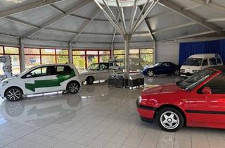 Geschäftslokal mieten in 8472 Straß in Steiermark, Gepflegte Auto-Verkaufshalle plus Freifläche in guter Lage