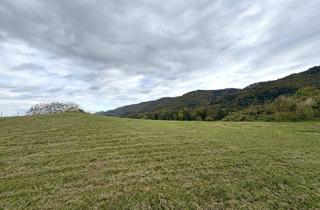 Grundstück zu kaufen in 8454 Oberhaag, Ruhige Toplage mit sensationellem Panoramablick nahe Arnfels – Hardegg, ein Naturjuwel für Genießer, Familien & Investoren!