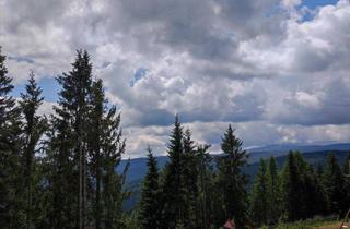 Grundstück zu kaufen in 8742 Obdach, Maklerprovision übernimmt der Abgeber "Über den Wolken kann die Freiheit nur grenzenlos sein" Alpen-Baugrundstück, voll aufgeschlossen auf 1.400 Metern Seehöhe!