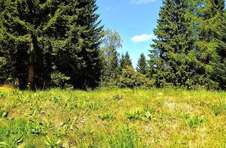 Grundstück zu kaufen in 8742 Obdach, Alpenparadies ohne Bauzwang "Erholung beginnt HIER" Baugrundstück, voll aufgeschlossen auf 1.250 Metern Seehöhe!