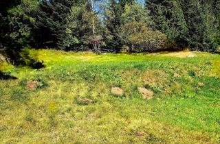 Grundstück zu kaufen in 8742 Obdach, Alpenparadies ohne Bauzwang "Erholung beginnt HIER" Baugrundstück, voll aufgeschlossen auf 1.250 Metern Seehöhe!