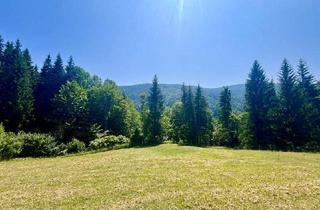 Haus kaufen in 8553 Sankt Oswald ob Eibiswald, Zwei Generationen, ein Zuhause  mit Herz gestaltet