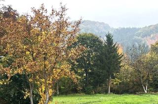 Einfamilienhaus kaufen in 2534 Alland, WOHNEN AM WIENERWALD - CHARMANTES EINFAMILIENHAUS