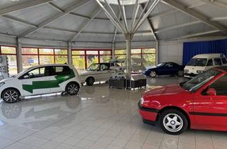 Lager mieten in 8472 Straß in Steiermark, Gepflegte Auto-Verkaufshalle plus Freifläche in guter Lage