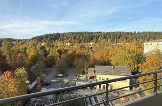 Wohnung mieten in Parkstraße 15, 4840 Vöcklabruck, Neu sanierte Wohnung inkl. Parkplatz