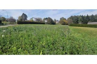 Grundstück zu kaufen in 7562 Eltendorf, Grundstück im schönen idylischen Südburgenland.