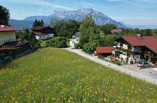 Grundstück zu kaufen in 5412 Sankt Jakob am Thurn, Grundstück mit variabler Größe!