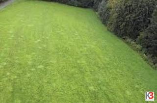 Grundstück zu kaufen in 5020 Salzburg, K3 - Liefering - Baugrund mit Altbestand in sonniger, ruhiger Lage zu kaufen!!!