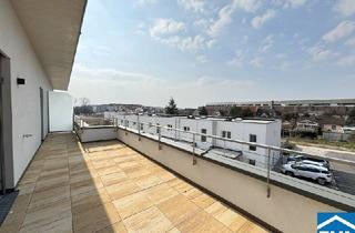 Wohnung mieten in 2700 Wiener Neustadt, Wohnen mit Stil und Komfort – BELLA VITA in Wiener Neustadt