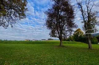 Grundstück zu kaufen in 4861 Schörfling, Ein Ort der Weite – Naturgrundstück nahe dem Attersee.