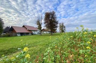 Grundstück zu kaufen in 4861 Schörfling, „Ihr Rückzugsort in Seenähe – Natur und Geborgenheit inklusive“